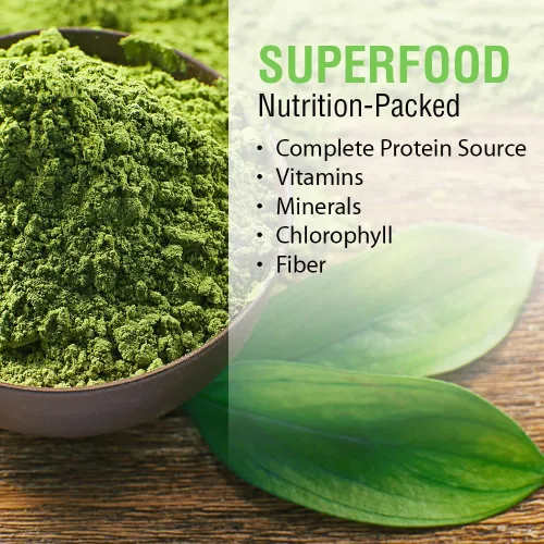 Miniatura 4 de SOLARAY Broken Cell Chlorella 410 mg Superalimento rico en nutrientes con proteínas de origen natural, vitaminas, minerales, clorofila Sin OMG