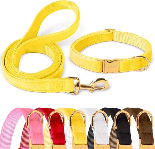 Miniatura 7 de GAMUDA Collar y correa de terciopelo para perro, súper suave y liso, hebilla dorada resistente, cómodo y fácil de limpiar, collar ajustable para Rojo