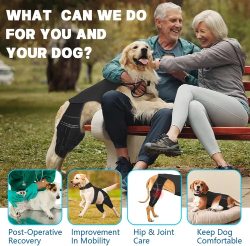 Miniatura 4 de Rodillera de perro para pierna trasera Acl, soporte de pierna de perro para pierna trasera, soporte de cadera ajustable para reducir el dolor