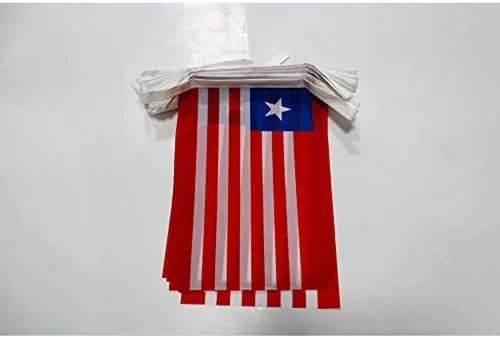 Miniatura 240 de AZ FLAG Señal marítima internacional 42.7 ft BUNTING Flag 40 banderas 9'' x 6'' - Banderas de cuerda del alfabeto náutico 5.9 x 8.3 in