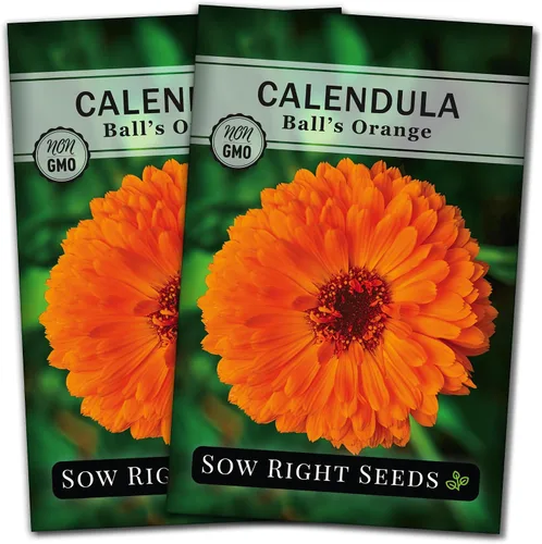 Sow Right Seeds - Semillas de caléndula naranja Ball's para plantar - Paquete de reliquia sin OMG con instrucciones para plantar un jardín en casa -
