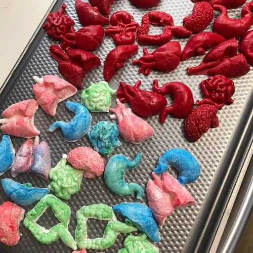 Miniatura 7 de Moldes de silicona con forma de órganos humanos, 8 unidades, molde de silicona para cerebro y corazón, para hígado, pulmón intestinal, chocolate