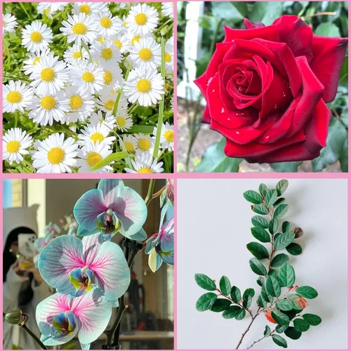 Miniatura 5 de ZiXiang Molde de silicona para veteado de flores de goma para fondant, moldes de pasta de goma, molde de flores de peonía, moldes de orquídea