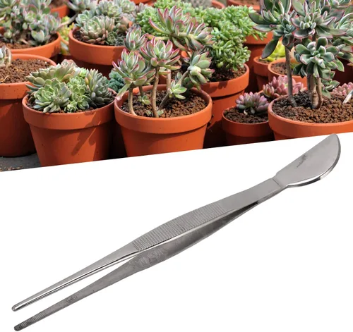 Miniatura 8 de TOPINCN Pinzas para bonsái, pinzas largas de acero inoxidable para plantas con cabeza de espátula de luna, para el jardín del hogar, aflojamiento