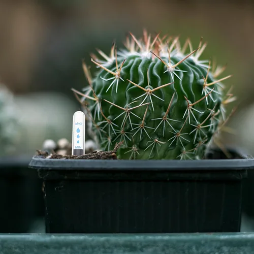 Miniatura 8 de BESTOYARD Indicador de agua para plantas en macetas para uso en interiores y exteriores, medidor de humedad del suelo con escala transparente