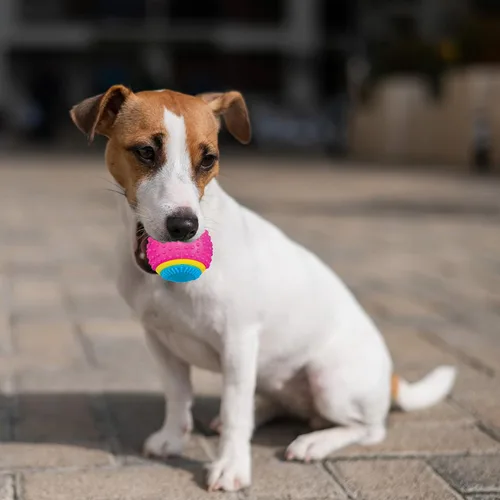 Miniatura 5 de Bola de juguete para perros Ethical Pets Sensory Ball, 2.5", Colores Variados