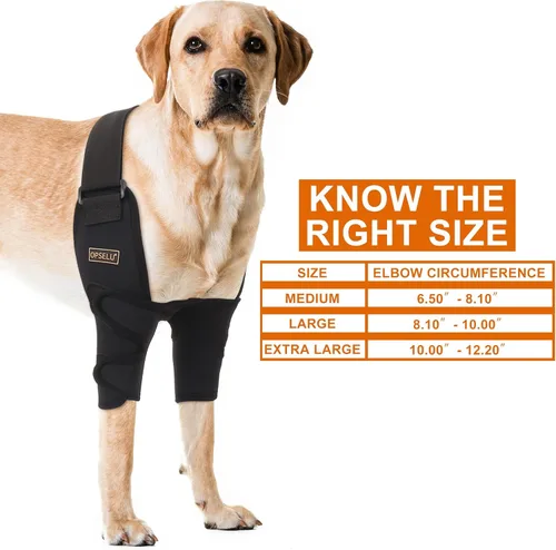 Miniatura 2 de Codera ajustable para perro con soporte de hombro, soporte de pierna delantera para perro para ligamentos desgarrados, artritis, rehabilitación