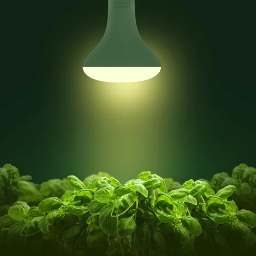 Miniatura 2 de Briignite Paquete de 2 Bombillas LED para Cultivo, Bombillas de Luz de Crecimiento BR30, Luz de Cultivo de Espectro Completo 12W, Bombillas de Luz