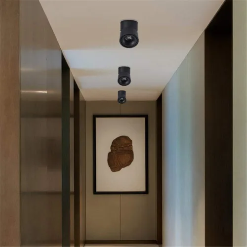 Miniatura 2 de Foco LED de techo - Luz de pared 360° ajustable Luz de techo 10W COB Iluminación LED Lámpara de pared o Foco Luz blanca fría 6000K / Luz blanca Negro