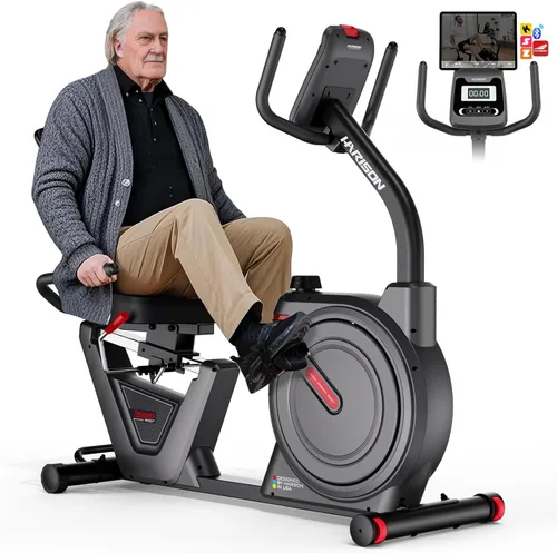 HARISON Exercise Bike 400 lbs Capacity, Easy Assembly Magnetic Recumbent bike for Adult and Seniors with Arm Exerciser , Recumbent Stationary bike