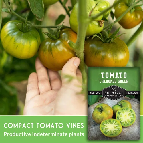 Miniatura 3 de Cherokee - Semillas de tomate verde para plantar, variedad reliquia con rico sabor dulce, tomates grandes sin OMG para rebanar y ensaladas, semillas