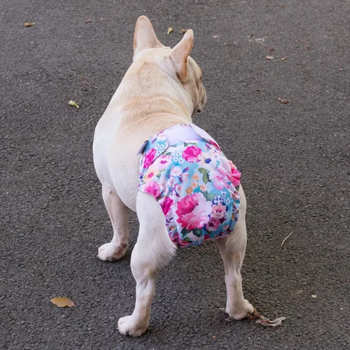 Miniatura 5 de CuteBone Pañales lavables para perros, sin agujero en la cola, paquete de 3 pantalones de entrenamiento para cachorros para perros de cola acoplada