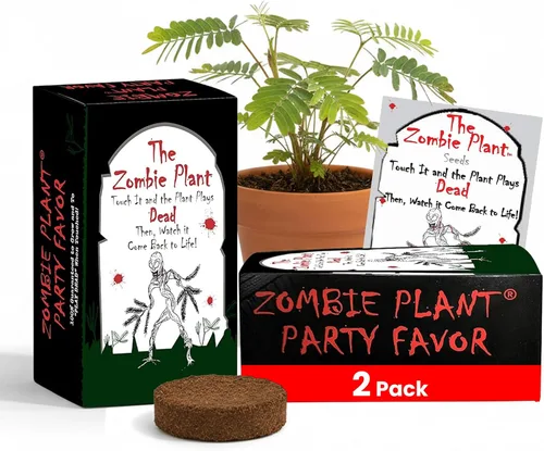 Recuerdos de fiesta de plantas zombies (2) ¡juega muerto cuando se toca! Incluye tierra, semillas y mini maceta. Suministros para cumpleaños