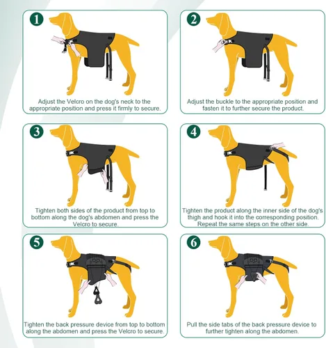 Miniatura 6 de Soporte de espalda para perro para IVDD, artritis, discos deslizados y herniados - Proporciona apoyo para la espalda y alivio del dolor, estabiliza