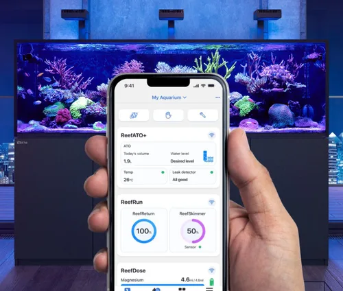 Miniatura 2 de Red Sea Sistema 3 en 1 ReefATO + ATO de apagado automático para acuario Alarma de agua en el suelo Control por aplicación con sonda