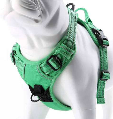 Miniatura 12 de JUXZH Truelove Arnés para perro sin tirones con mango de fácil control y 2 accesorios para correa, chaleco reflectante ajustable para mascotas