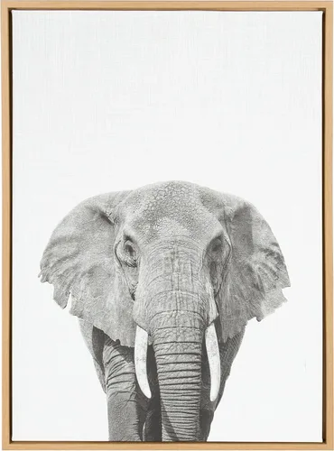Miniatura 7 de Kate and Laurel Sylvie - Lienzo enmarcado con diseño de elefante y retrato en blanco y negro, arte de pared por Simon Te Tai, 23 x 33 pulgadas