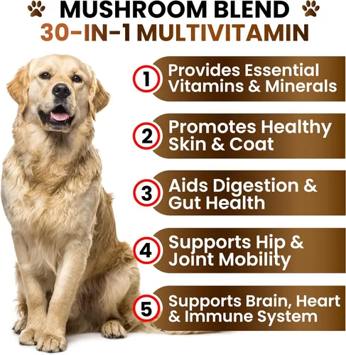 Miniatura 3 de Suplemento de hongo de cola de pavo para perros, 170 masticables, hongos para perros, Reishi, melena de león, multivitamínico de glucosamina