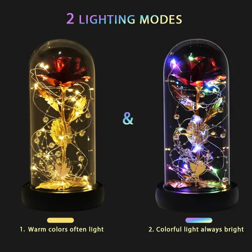 Miniatura 3 de Regalos para mamá, decoración de San Valentín, rosas de La Bella y la Bestia con 40 luces LED, rosa en cúpula de cristal, rosas encantadas, flores