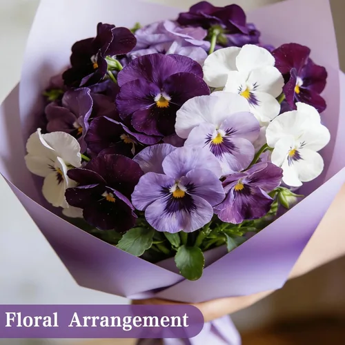 Miniatura 4 de Semillas de Viola - 2000 unidades - Flor de temporada fresca para macetas, bordes o cajas de ventana