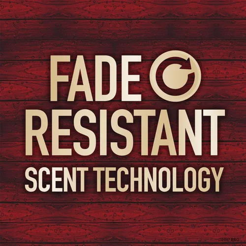 Miniatura 3 de Old Spice Desodorante antitranspirante para hombres, protección contra olores 24/7, frescura duradera 24/7, colección roja, Swagger con aroma a