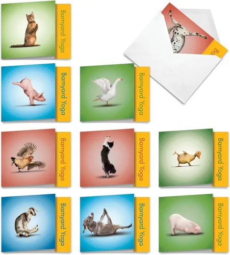 The Best Card Company - 10 tarjetas de notas de yoga en blanco (4 x 5.12 pulgadas) - Tarjetas de notas en caja con sobres, tarjetas de animales