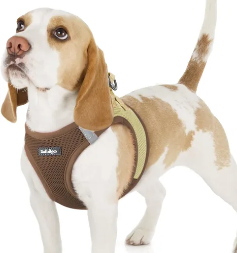 Miniatura 58 de rabbitgoo Arnés para perro pequeño, chaleco de malla suave para cachorros con hebilla de seguridad, arnés reflectante transpirable para mascotas