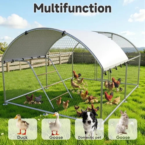 Miniatura 6 de Gallinero grande de metal para pollos con percha para posarse, gallinero de entrada para aves de corral, casa para patos, corral para pollos