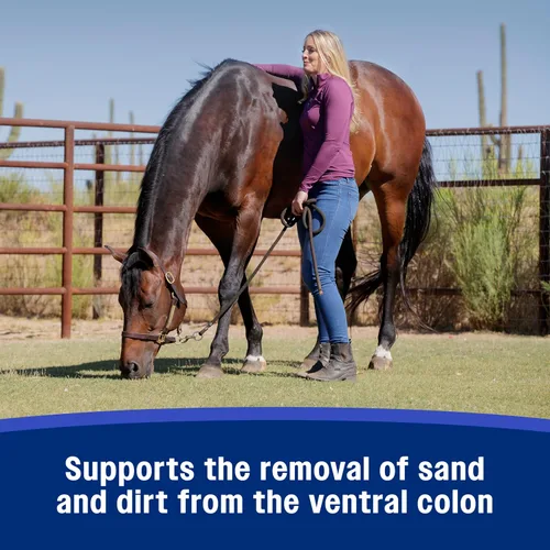 Miniatura 4 de Farnam SandClear Psyllium Crumbles Suplemento para caballos, ayuda a eliminar la arena del colon y apoya la salud digestiva, sabor a manzana/melaza