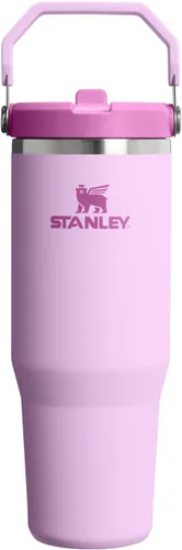 Miniatura 28 de Stanley IceFlow - Vaso con pajilla abatible con asa, de 20 onzas, tapa giratoria y popote abatible, botella de agua resistente a fugas, acero