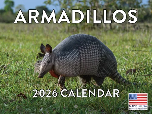 Miniatura 62 de Calendario alpaca 2026, calendario mensual de pared de 12 meses Hecho en Estados Unidos.
