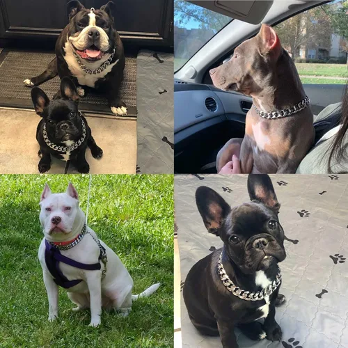 Miniatura 5 de Collares para perros de acero inoxidable plateado y dorado con cierre de seguridad, collar de cadena tipo cubano de 18 quilates para entrenamiento