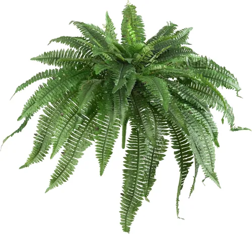 Miniatura 10 de Nearly Natural Planta artificial de helecho Boston de 48 pulgadas, planta falsa colgante grande con 67 fronds realistas largos, helecho sintético