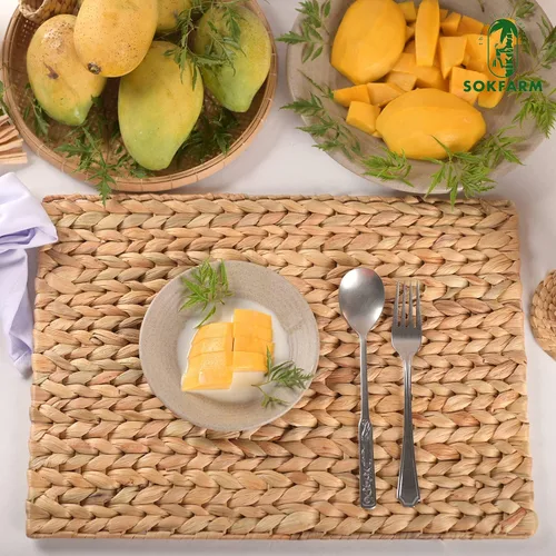 Miniatura 7 de Juego de 10 manteles individuales tejidos bohemios, individuales para mesa de comedor, manteles individuales de Pascua Farmhous Egreen, individuales