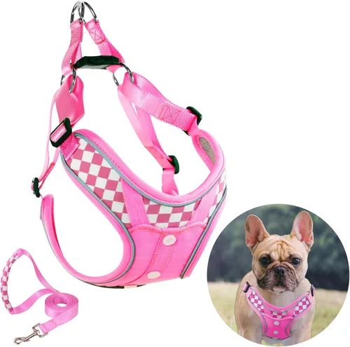 Miniatura 13 de Arnés para perro con juego de correa, arneses para cachorros con acolchado transpirable para entrenamiento y carrera de perros pequeños (XS, gris)
