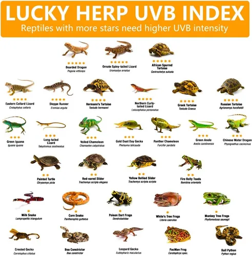Miniatura 5 de LUCKY HERP Bombilla de calor de vapor UVA+UVB de 160 vatios, lámpara de alta intensidad autobalastada para reptiles y anfibios, lámpara solar
