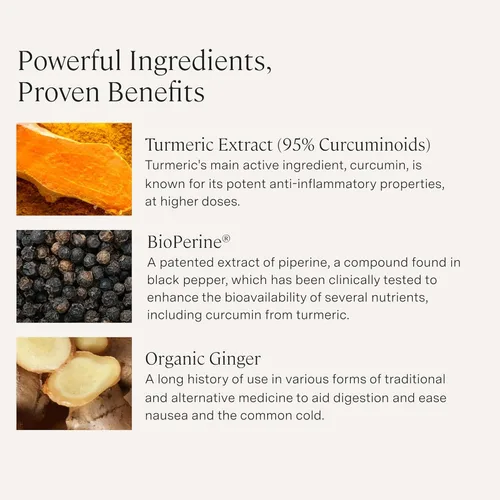 Miniatura 3 de Stonehenge Health Cúrcuma Dinámica con Curcumina y Jengibre - Alta Potencia - 1,650 mg de Cúrcuma con 95% de Curcuminoides y BioPerine, 90 Cápsulas