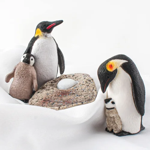 Miniatura 4 de Juego de 4 figuras de pingüino de la Antártida del ciclo de vida de pingüinos, juguetes educativos tempranos, juguetes educativos tempranos