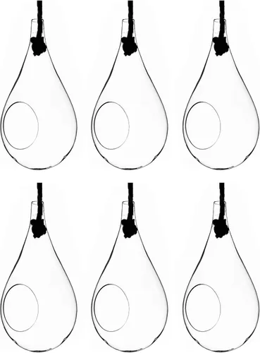 Miniatura 8 de WGV - Maceta colgante terrario, ancho de 6 pulgadas, altura de 11 pulgadas, suculentas de vidrio transparente para suculentas, contenedor floral
