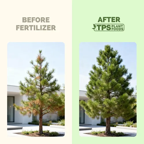 Miniatura 3 de Fertilizante para árboles: alimento líquido para plantas para raíces más fuertes, follaje más completo y crecimiento saludable de los árboles, 8