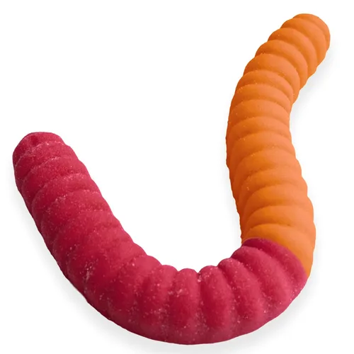 Gusano de gomita gigante agrio – Caramelo de gomita grande de 2 libras con gran sabor picante de GGB Candies (cereza/naranja)