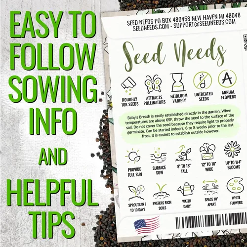 Miniatura 3 de Seed Needs White Baby's Breath Seeds para plantar, reliquia y flores anuales polinizadas abiertas, perfectas para un jardín de mariposas, ramos