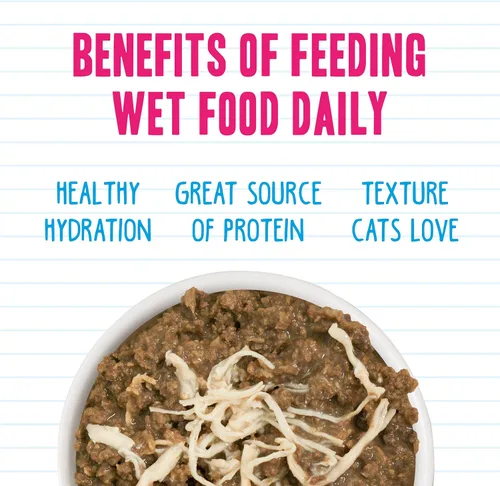 Miniatura 6 de Weruva BFF - Alimento húmedo natural picado para gatos, paquete variado Big Feline Festest, lata de 10 onzas, paquete de 12
