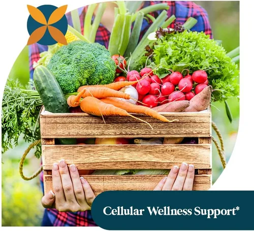 Miniatura 6 de Pattern Wellness Extracto de ajo orgánico inodoro 20:1 con alicina - Apoya la salud circulatoria e inmune - Sin OMG, sin gluten, vegano - 30 cápsulas