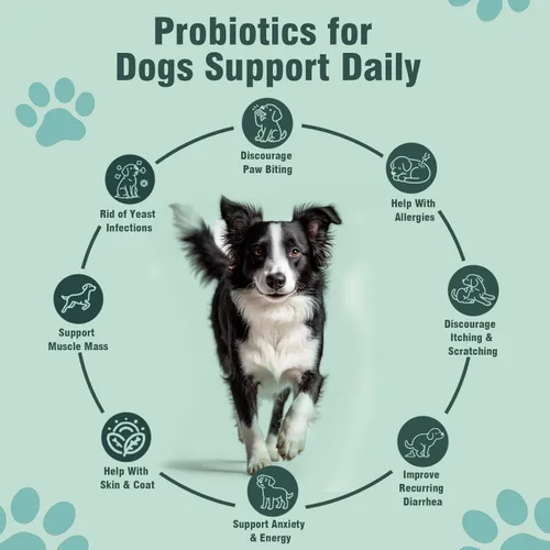 Miniatura 3 de Probióticos para perros, 200 masticables suaves, apoyan la salud intestinal, alivio de la diarrea, alergias estacionales, masticables probióticos