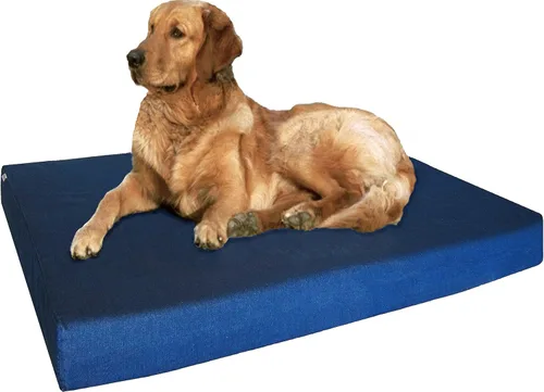 Miniatura 15 de Dogbed4less Cama ortopédica para mascotas con espuma viscoelástica para mascotas medianas y grandes, forro impermeable, funda lavable de microgamuza