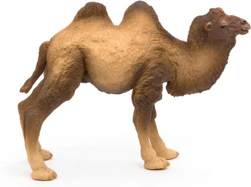Miniatura 5 de Papo - Figura realista de camello bactriano para niños - A partir de 3 años - Colección Wild Life - Animales exóticos educativos - Juguete de idea