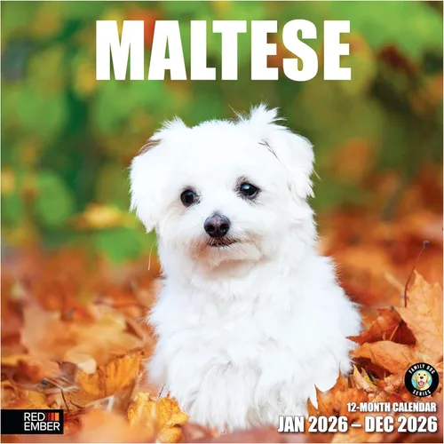 Miniatura 30 de RED EMBER Calendario de pared 2025 con diseño de cachorros de 12 meses, 12 x 24 pulgadas, abierto, papel grueso y resistente, para regalo