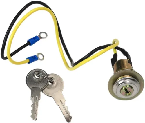 Interruptor de llave de encendido para Ford Tractor 9N 2N 8N NAA Jubilee 501 600 601 700 701 800 801 900 901 1801 2000 4000 1939-1964 8N3679C