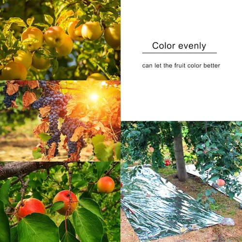 Miniatura 6 de winemana Paquete de 6 películas grandes de Mylar reflectantes plateadas, 83 x 63 pulgadas, alta reflectancia, mantiene el calor, 100% segura